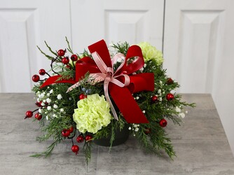 Berry Christmas from Aladdin's Floral in Idaho Falls