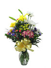 Everyday Mixed Bouquet