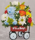 New Baby Boy Wagon 
