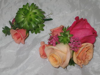 Succulent Corsage and Boutonniere from Aladdin's Floral in Idaho Falls