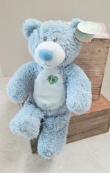 Baby Tender Teddy from Aladdin's Floral in Idaho Falls