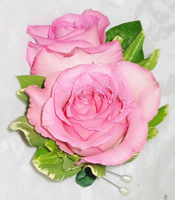 Pink Rose Pin on Corsage from Aladdin's Floral in Idaho Falls