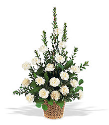 White Carnation Basket from Aladdin's Floral in Idaho Falls