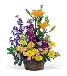 Stylish Basket