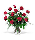 A Dozen Red Roses 