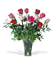 Mixed Roses
