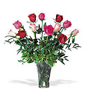 Mixed Roses