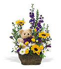 Basket & Bear