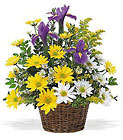 Bright Basket
