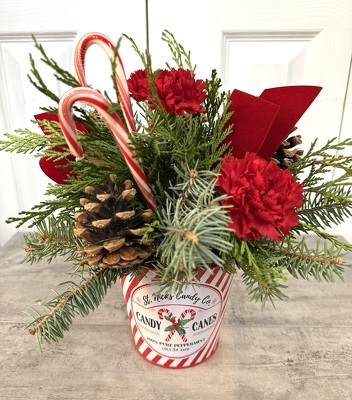 Candy Cane Lane from Aladdin's Floral in Idaho Falls