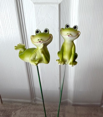 Froggy Pick from Aladdin's Floral in Idaho Falls