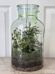 Tall Terrarium from Aladdin's Floral in Idaho Falls