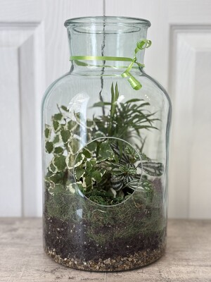 Tall Terrarium from Aladdin's Floral in Idaho Falls