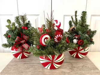 Artificial Peppermint Twist from Aladdin's Floral in Idaho Falls