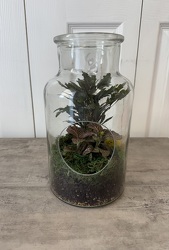 Medium Terrarium from Aladdin's Floral in Idaho Falls