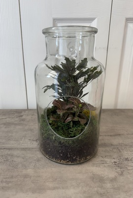 Medium Terrarium from Aladdin's Floral in Idaho Falls