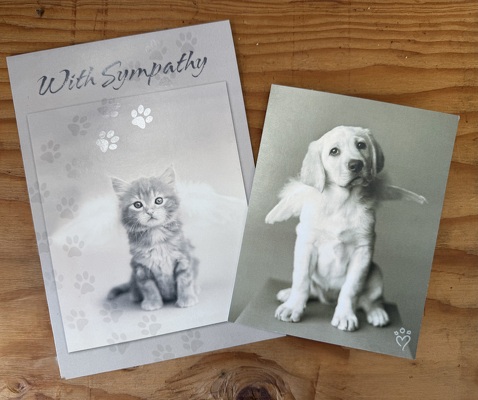 Pet Sympathy Card from Aladdin's Floral in Idaho Falls