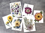 Pressed Floral Card from Aladdin's Floral in Idaho Falls