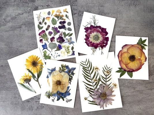 Pressed Floral Card from Aladdin's Floral in Idaho Falls