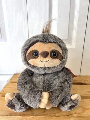 Bumbley the Sloth from Aladdin's Floral in Idaho Falls