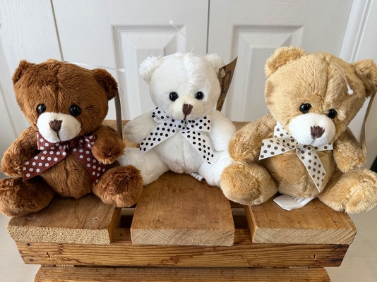 Polka Dot Bear from Aladdin's Floral in Idaho Falls