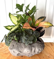 Stone Dish Garden from Aladdin's Floral in Idaho Falls