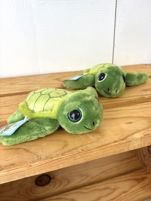 Turtle Stuffie from Aladdin's Floral in Idaho Falls