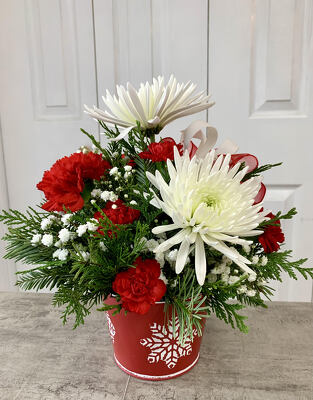 Winter Snow from Aladdin's Floral in Idaho Falls