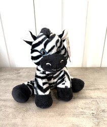 Ziggy the Zebra from Aladdin's Floral in Idaho Falls