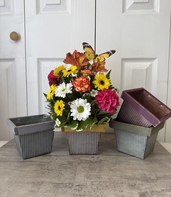 Autumn Flutter from Aladdin's Floral in Idaho Falls