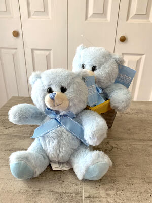 Baby Blue Bear from Aladdin's Floral in Idaho Falls