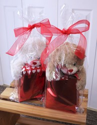 Big Bear Gift Bag from Aladdin's Floral in Idaho Falls