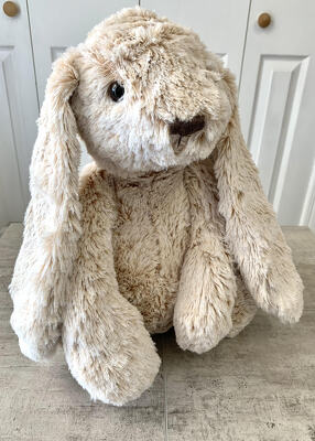 Rabbit Stuffie from Aladdin's Floral in Idaho Falls