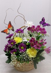Butterfly Pleasures from Aladdin's Floral in Idaho Falls