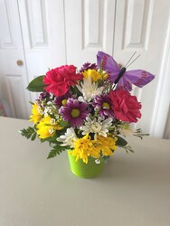 Butterfly Garden from Aladdin's Floral in Idaho Falls