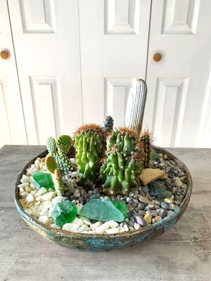 Cacti Dish Garden from Aladdin's Floral in Idaho Falls