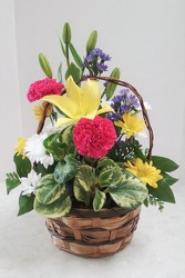 Flower Basket with Plant from Aladdin's Floral in Idaho Falls