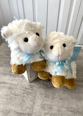 Little Lamb from Aladdin's Floral in Idaho Falls