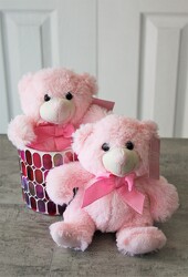 Pink Snuggabear from Aladdin's Floral in Idaho Falls