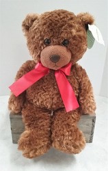 Spencer Teddy Bear from Aladdin's Floral in Idaho Falls