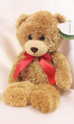 Spencer Teddy Bear from Aladdin's Floral in Idaho Falls