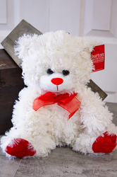 Burton Bear from Aladdin's Floral in Idaho Falls