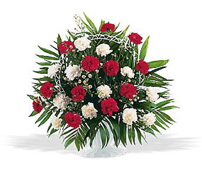 Red and White Classic Basket from Aladdin's Floral in Idaho Falls