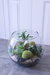 Terrarium from Aladdin's Floral in Idaho Falls