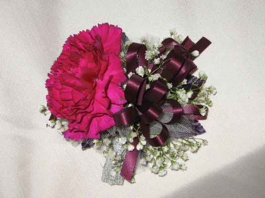 Carnation Wrist Corsage from Aladdin's Floral in Idaho Falls